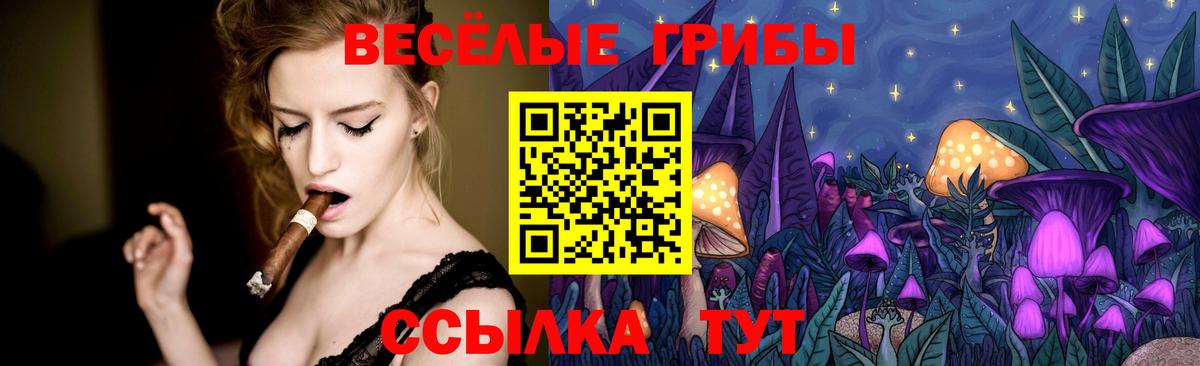 Галлюциногенные грибы Psilocybine cubensis  Вход с VPN  Галлюциногенные грибы Psilocybine cubensis  Королёв 